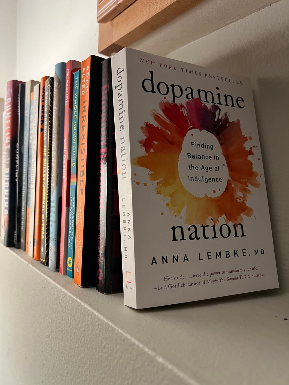 A paperback copy of Dopamine Nation by Anna Lembke, MD standing at the end of a shelf with many books.